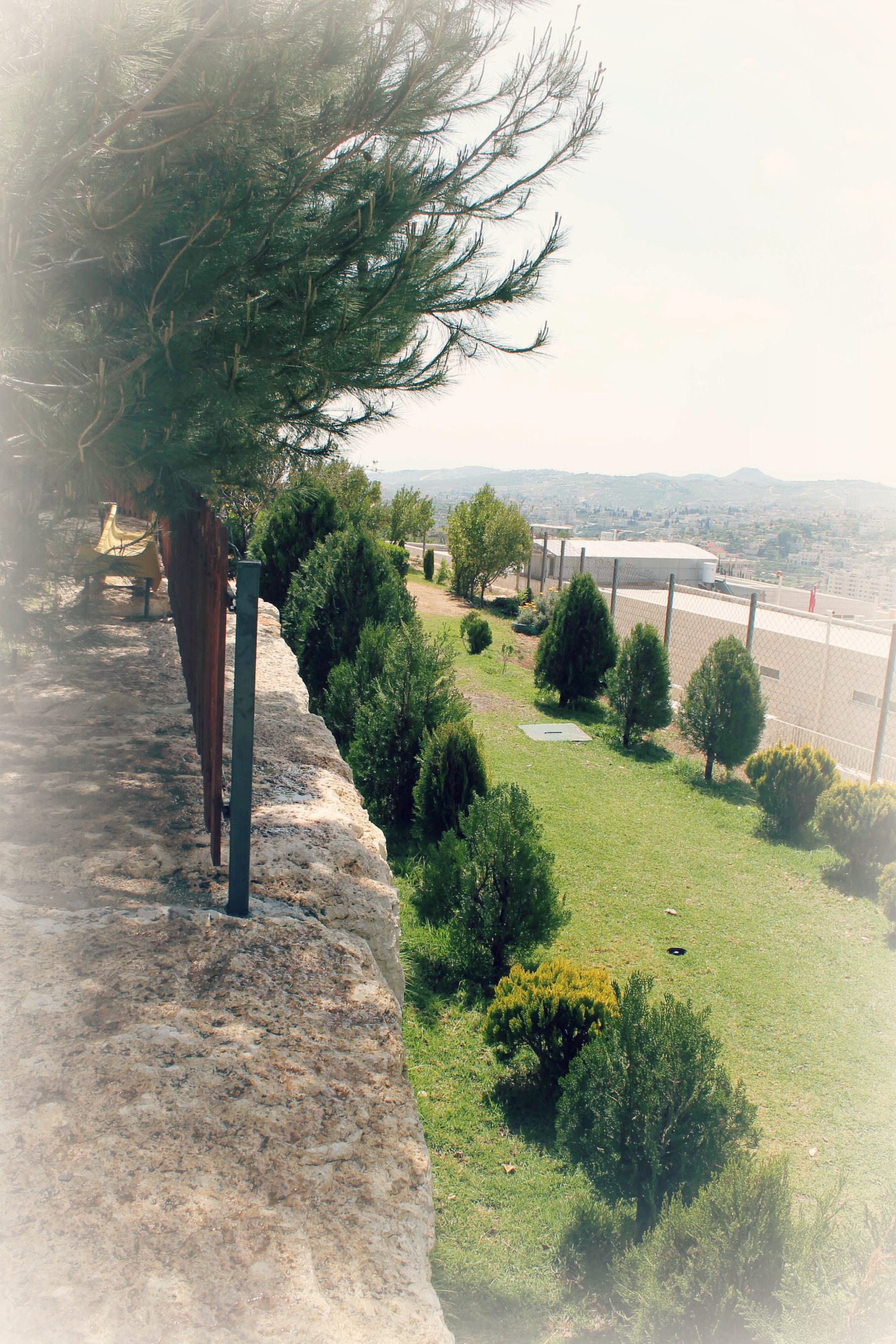 حديقة ماري دوتي