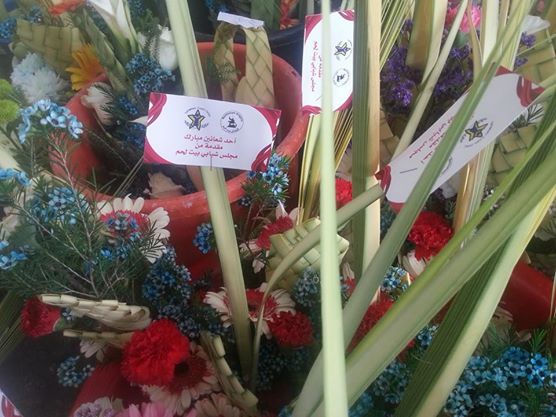 توزيع شتلات النخيل على أطفال المدينة بمناسبة أحد الشعانين