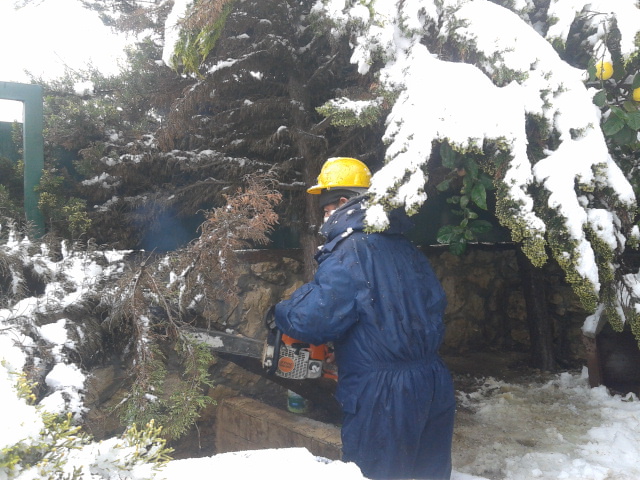 بلدية بيت لحم تتعامل مع ظروف المنخفض الصعبة بنجاح وتلبي طلبات المواطنين