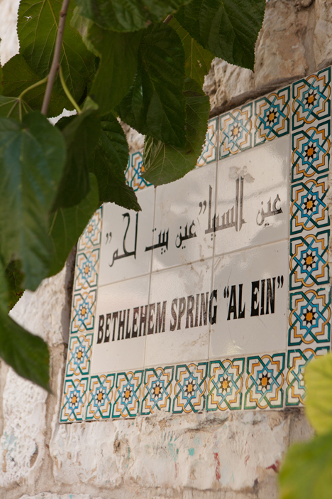 Al Ein (Water spring)