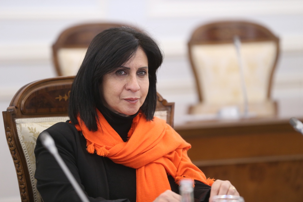 بابون تلتقي نائب محافظ سانت بطرسبورغ وتبحث سبل التعاون المشترك