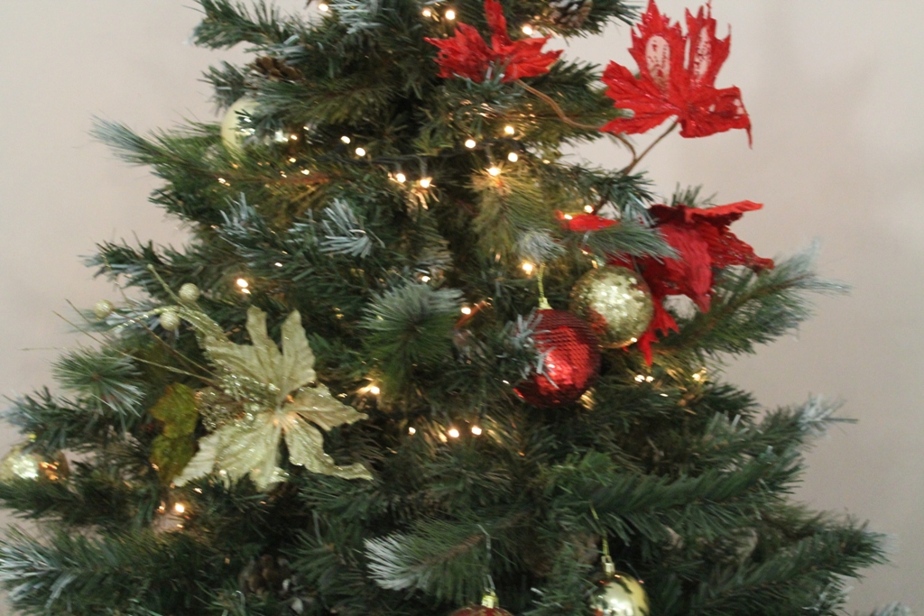 المجلس الشبابي يشارك في تزيين شجرة بلدية بيت لحم 