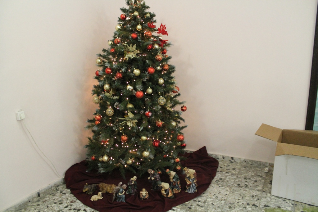 المجلس الشبابي يشارك في تزيين شجرة بلدية بيت لحم 