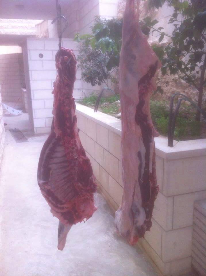 المبادرة الخيرية للمجلس المحلي الشبابي في بيت لحم بمناسبة الأعياد الميلادية المجيدة 