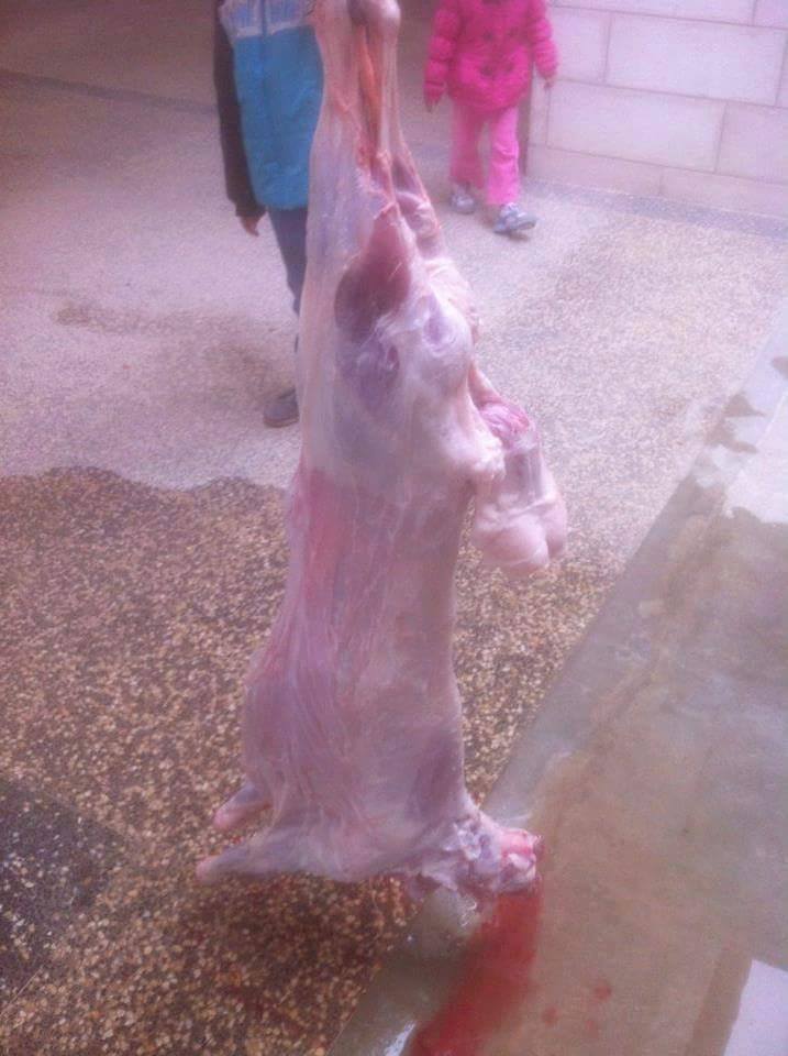 المبادرة الخيرية للمجلس المحلي الشبابي في بيت لحم بمناسبة الأعياد الميلادية المجيدة 