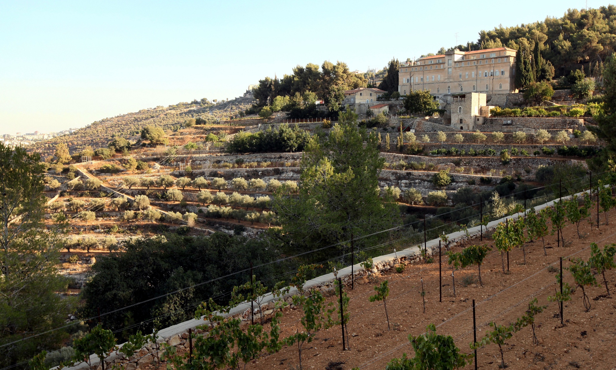The Israeli occupation’s Antiquities Authority conducts an archaeological excavation in Cremisan Valley