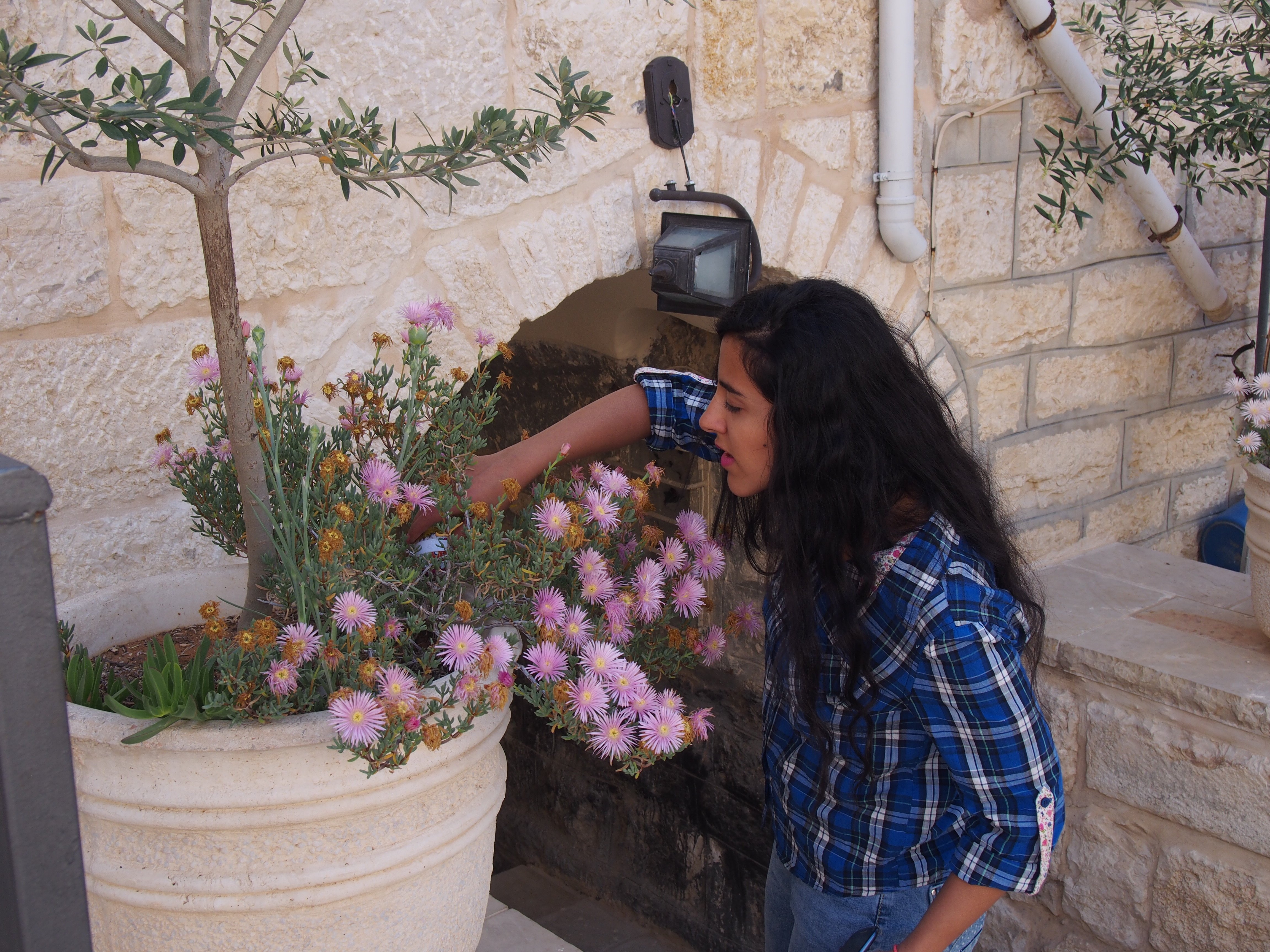 نشاط فصحي في شوارع بيت لحم القديمة للتعرف على تاريخ وأصالة المواقع التراثية والتاريخية 