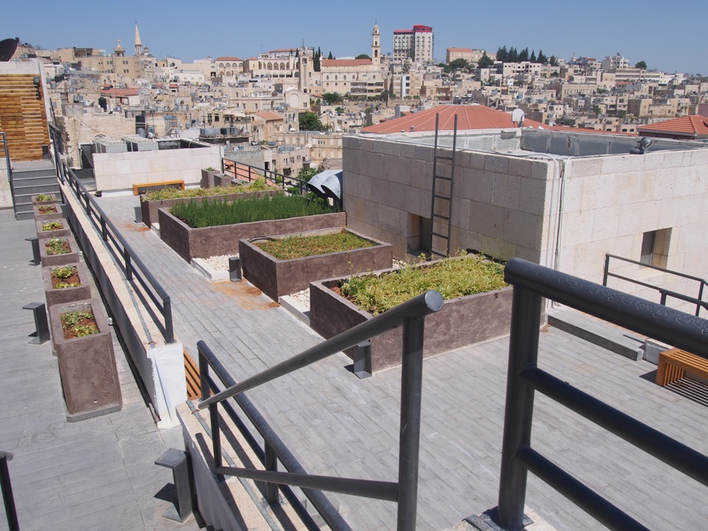 بالصور - نتائج مشروع  إعادة تأهيل وتجميل ساحة المهد 