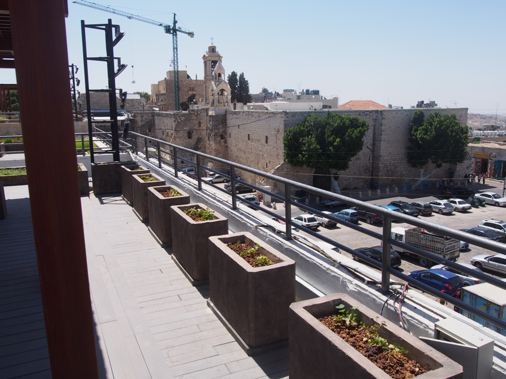 بالصور - نتائج مشروع  إعادة تأهيل وتجميل ساحة المهد 