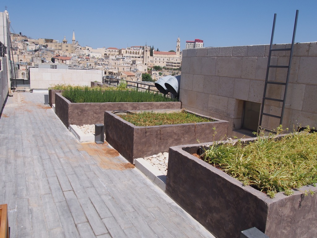 بالصور - نتائج مشروع  إعادة تأهيل وتجميل ساحة المهد 