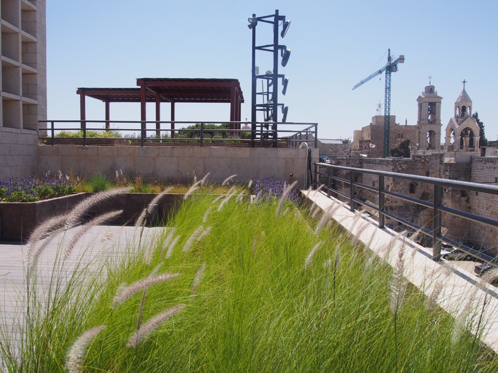 بالصور - نتائج مشروع  إعادة تأهيل وتجميل ساحة المهد 