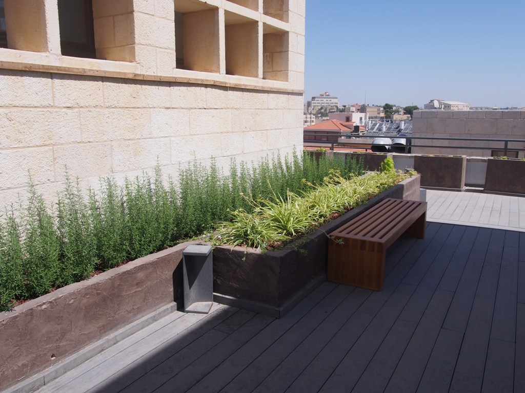 بالصور - نتائج مشروع  إعادة تأهيل وتجميل ساحة المهد 