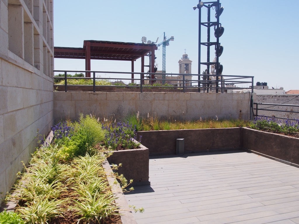 بالصور - نتائج مشروع  إعادة تأهيل وتجميل ساحة المهد 