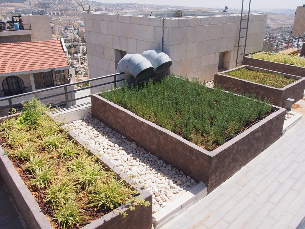 بالصور - نتائج مشروع  إعادة تأهيل وتجميل ساحة المهد 