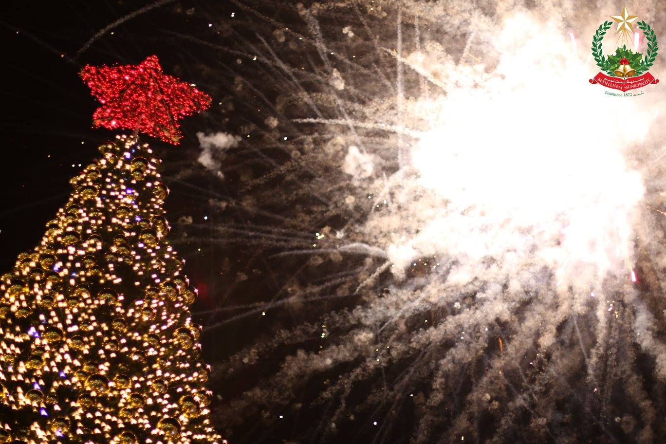 هذا العام أيضا  شجرة بيت لحم على قائمة أكثر الأشجار إلهاما وتميزاً حول العالم