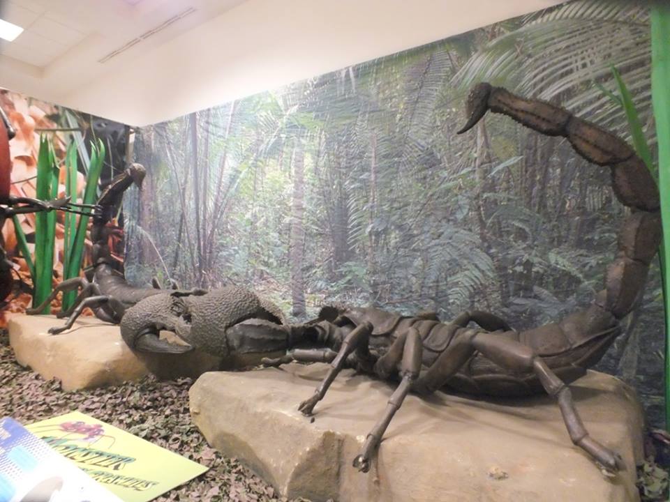  تحت رعاية وزير التربية والتعليم وبحضور وزير الثقافة ورئيسة بلدية بيت لحم والجهات البريطانية الداعمة افتتاح معرض ومدينة الديناصورات الدائم في قصر المؤتمرات