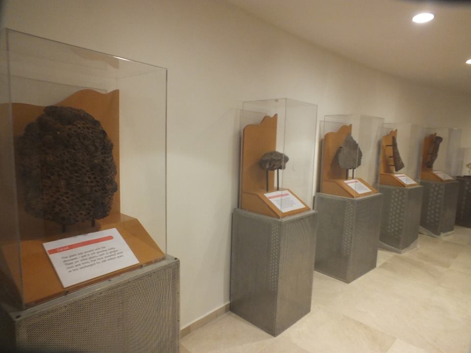  تحت رعاية وزير التربية والتعليم وبحضور وزير الثقافة ورئيسة بلدية بيت لحم والجهات البريطانية الداعمة افتتاح معرض ومدينة الديناصورات الدائم في قصر المؤتمرات