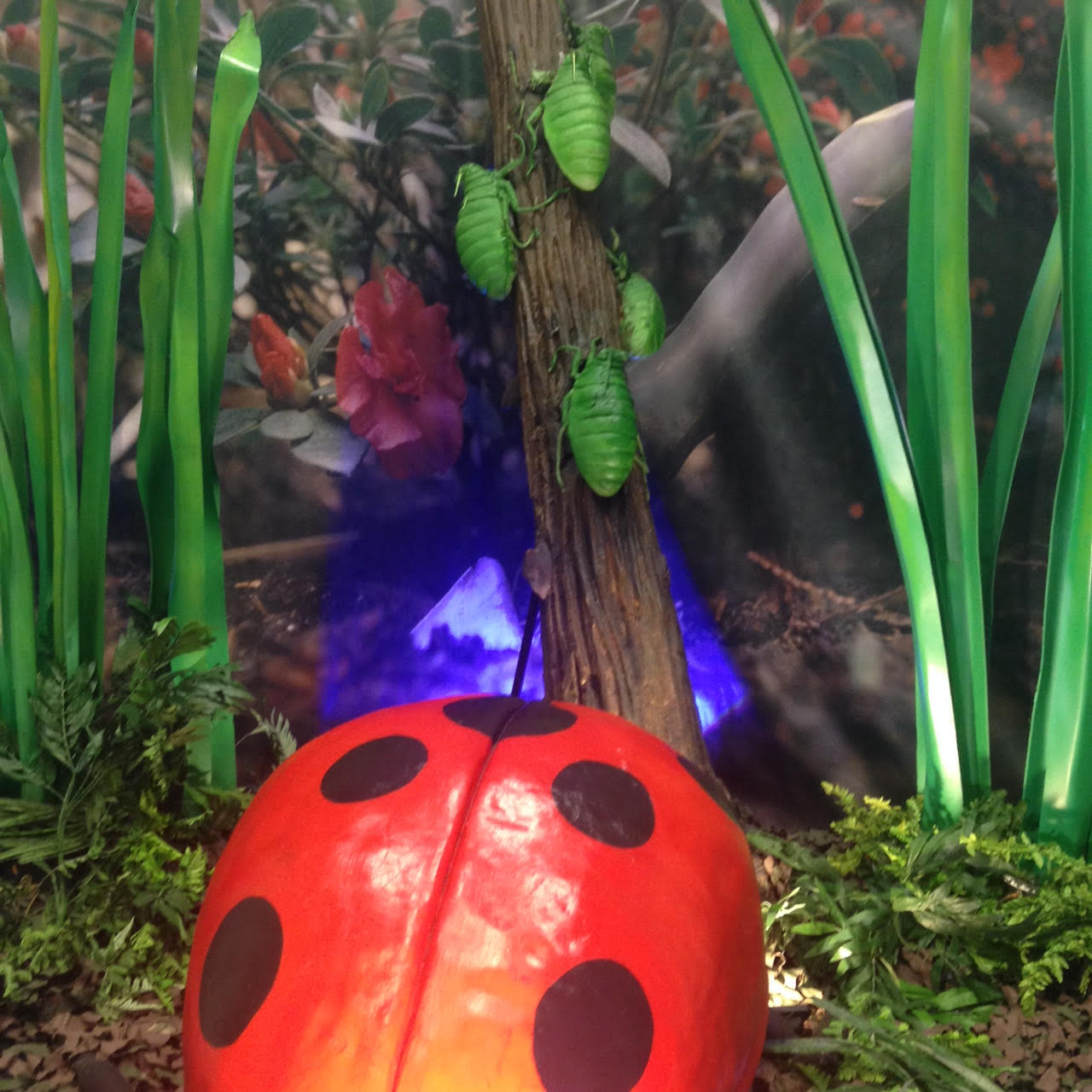  تحت رعاية وزير التربية والتعليم وبحضور وزير الثقافة ورئيسة بلدية بيت لحم والجهات البريطانية الداعمة افتتاح معرض ومدينة الديناصورات الدائم في قصر المؤتمرات