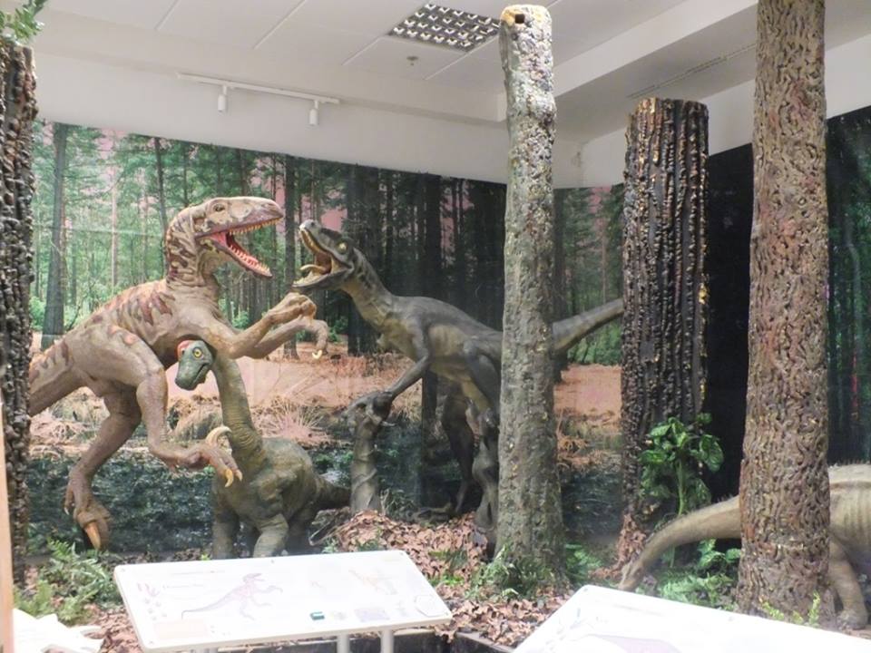  تحت رعاية وزير التربية والتعليم وبحضور وزير الثقافة ورئيسة بلدية بيت لحم والجهات البريطانية الداعمة افتتاح معرض ومدينة الديناصورات الدائم في قصر المؤتمرات