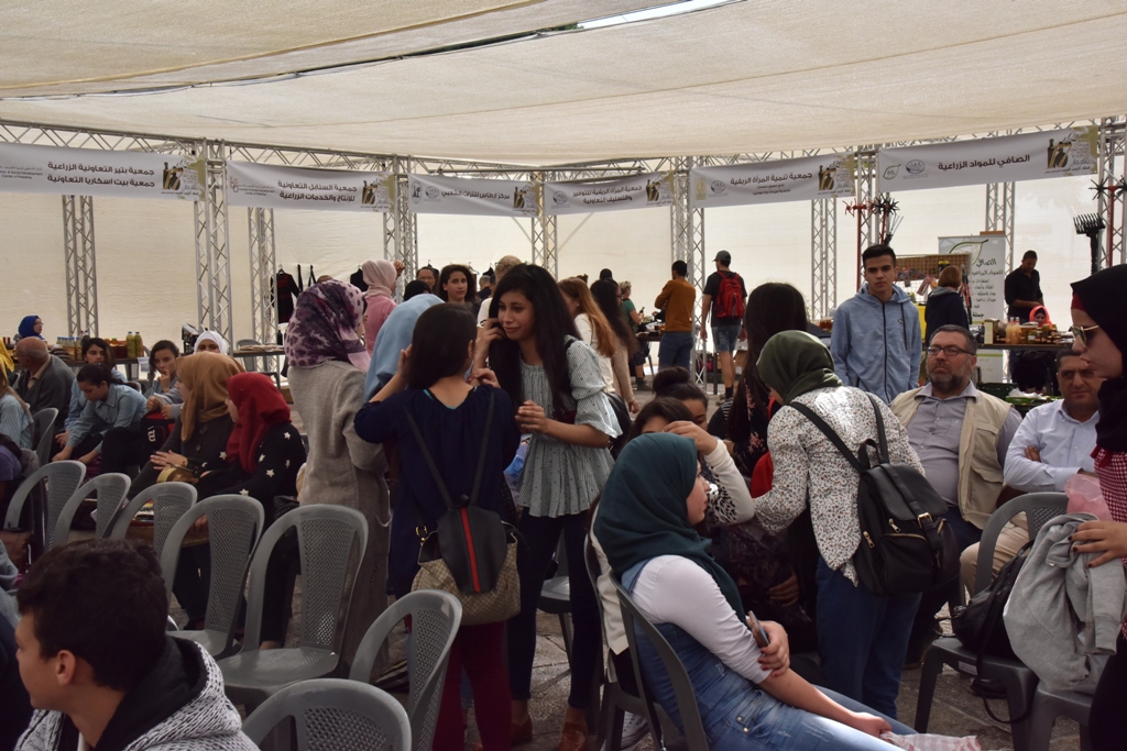 مهرجان قطف الزيتون السابع عشر ينطلق من ساحة المهد