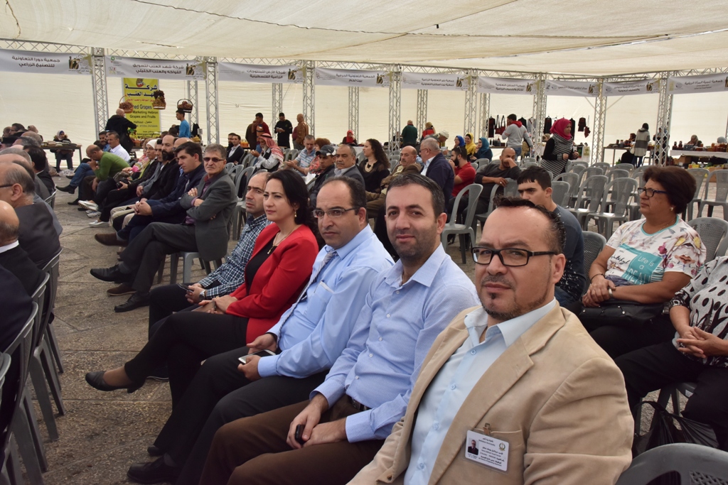 مهرجان قطف الزيتون السابع عشر ينطلق من ساحة المهد