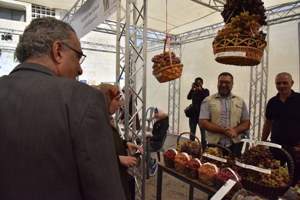 مهرجان قطف الزيتون السابع عشر ينطلق من ساحة المهد