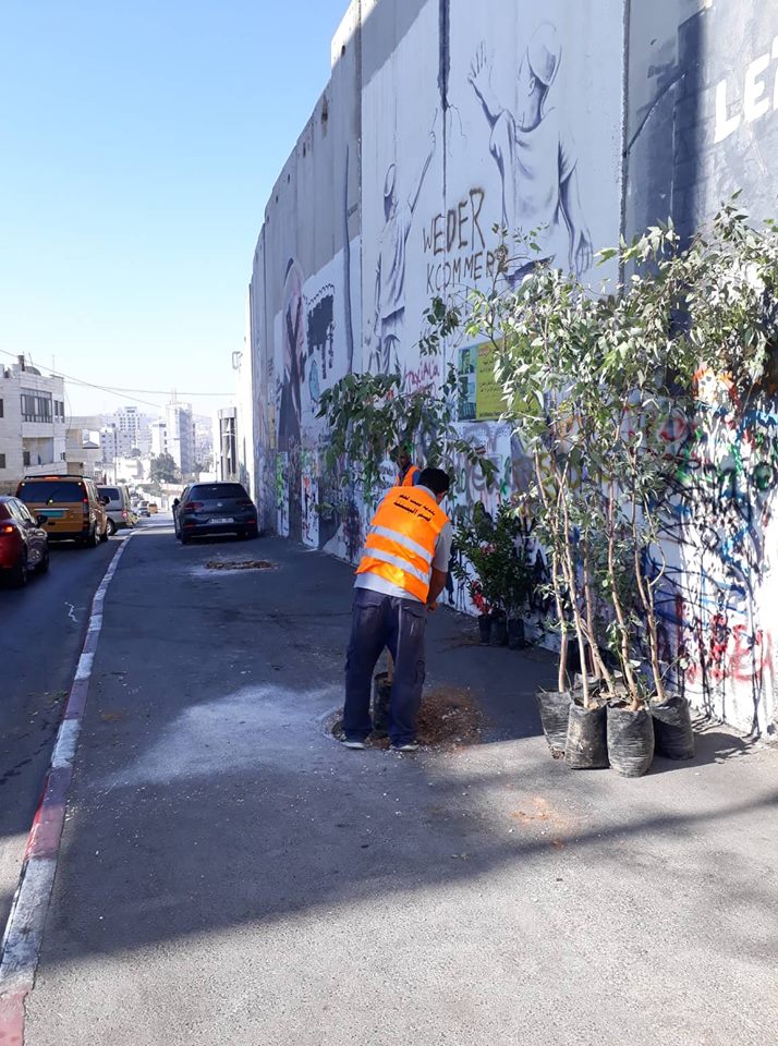 حملة اليوم العالمي للنظافة تنطلق في محافظة بيت لحم تحت شعار بيت لحم نظيفة وخضراء