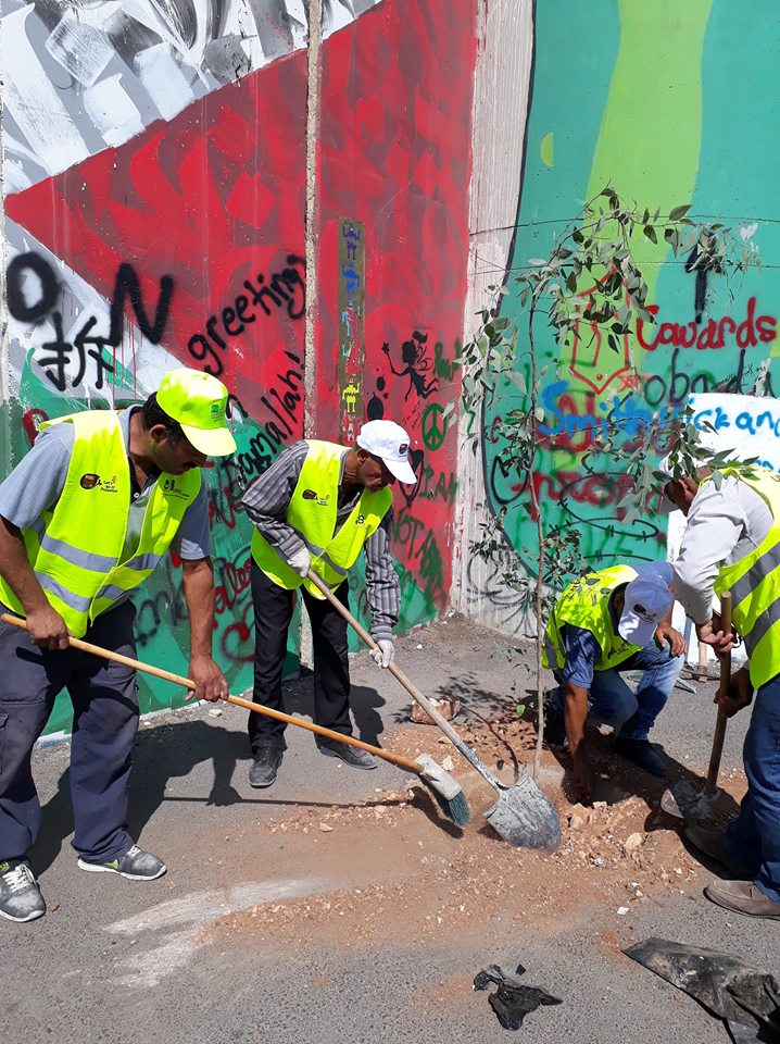 حملة اليوم العالمي للنظافة تنطلق في محافظة بيت لحم تحت شعار بيت لحم نظيفة وخضراء