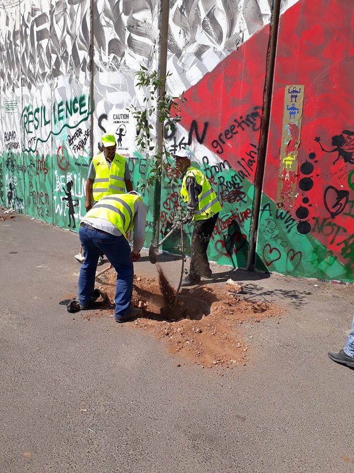 حملة اليوم العالمي للنظافة تنطلق في محافظة بيت لحم تحت شعار بيت لحم نظيفة وخضراء