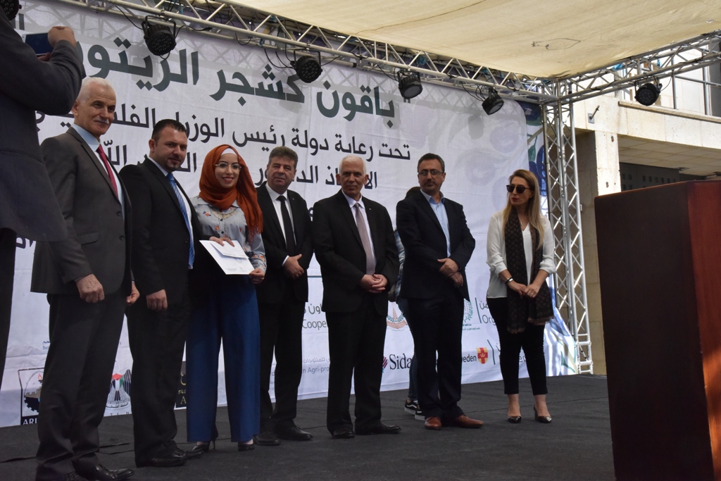 مهرجان قطف الزيتون الثامن عشر ينطلق من ساحة المهد في بيت لحم