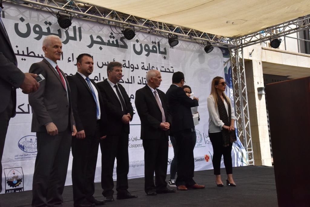 مهرجان قطف الزيتون الثامن عشر ينطلق من ساحة المهد في بيت لحم