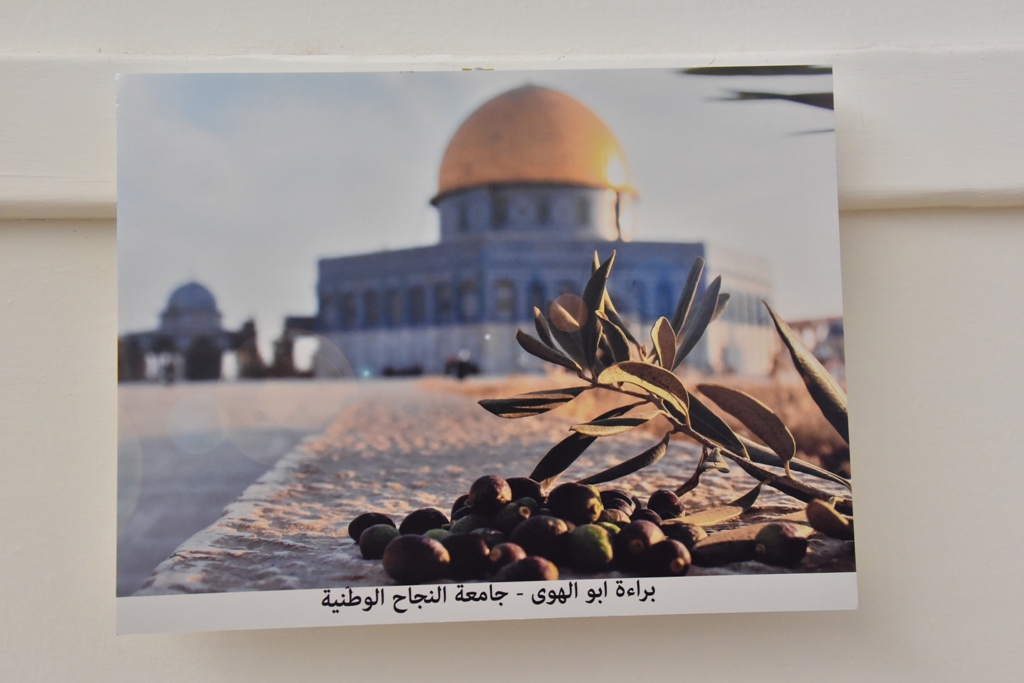 مهرجان قطف الزيتون الثامن عشر ينطلق من ساحة المهد في بيت لحم