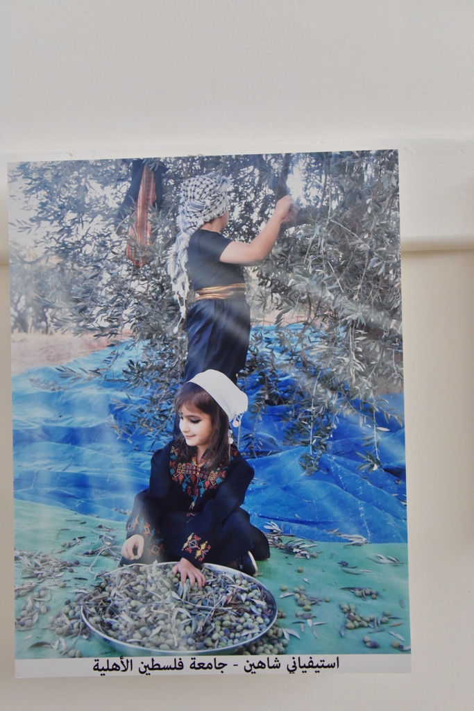 مهرجان قطف الزيتون الثامن عشر ينطلق من ساحة المهد في بيت لحم