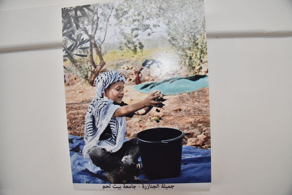 مهرجان قطف الزيتون الثامن عشر ينطلق من ساحة المهد في بيت لحم