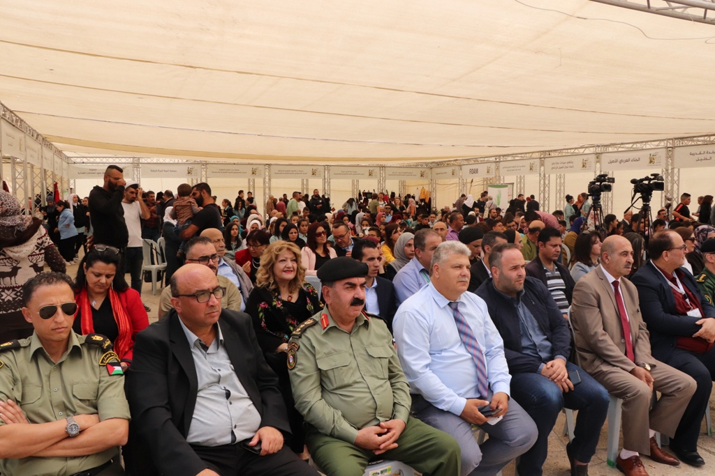 مهرجان قطف الزيتون السنوي التاسع عشر ينطلق من ساحة المهد في بيت لحم