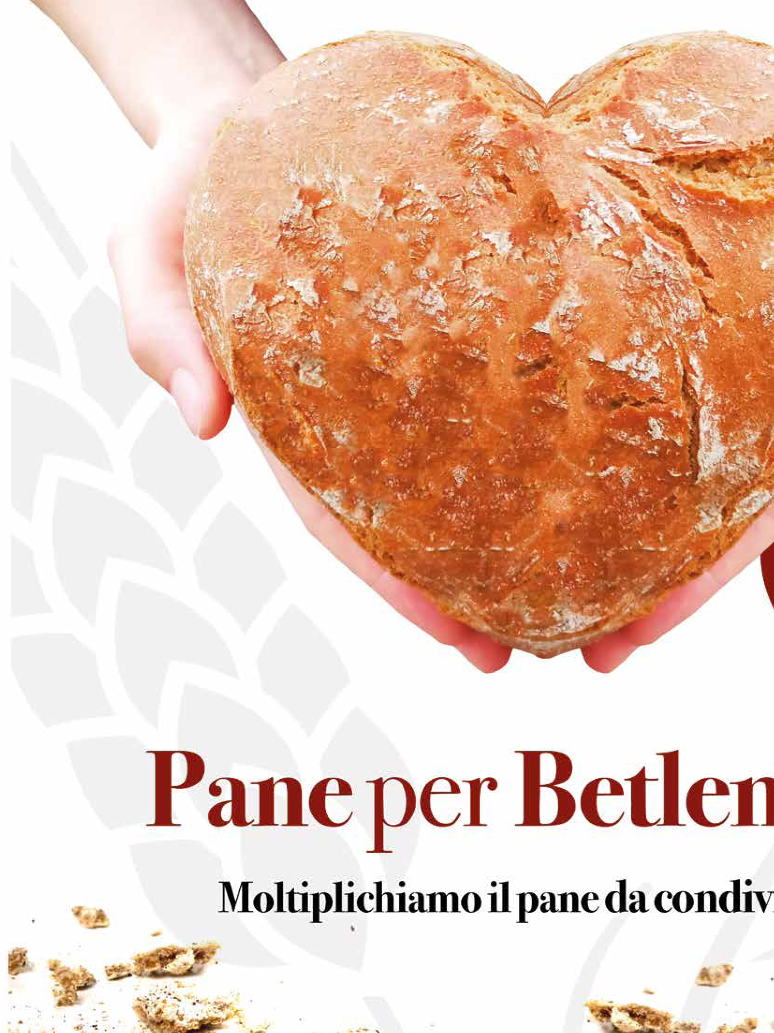 ضمن النشاطات التوعية لمشروع "نور للطاقة المتجددة" الذي تعمل عليه بلدية بيت لحم بالتعاون مع بلدية تورين الإيطالية بتمويل من التعاون الإيطالي، تم نشر عدة مقالات في مجلة Un Mondo Possibile 65 الإيطالية