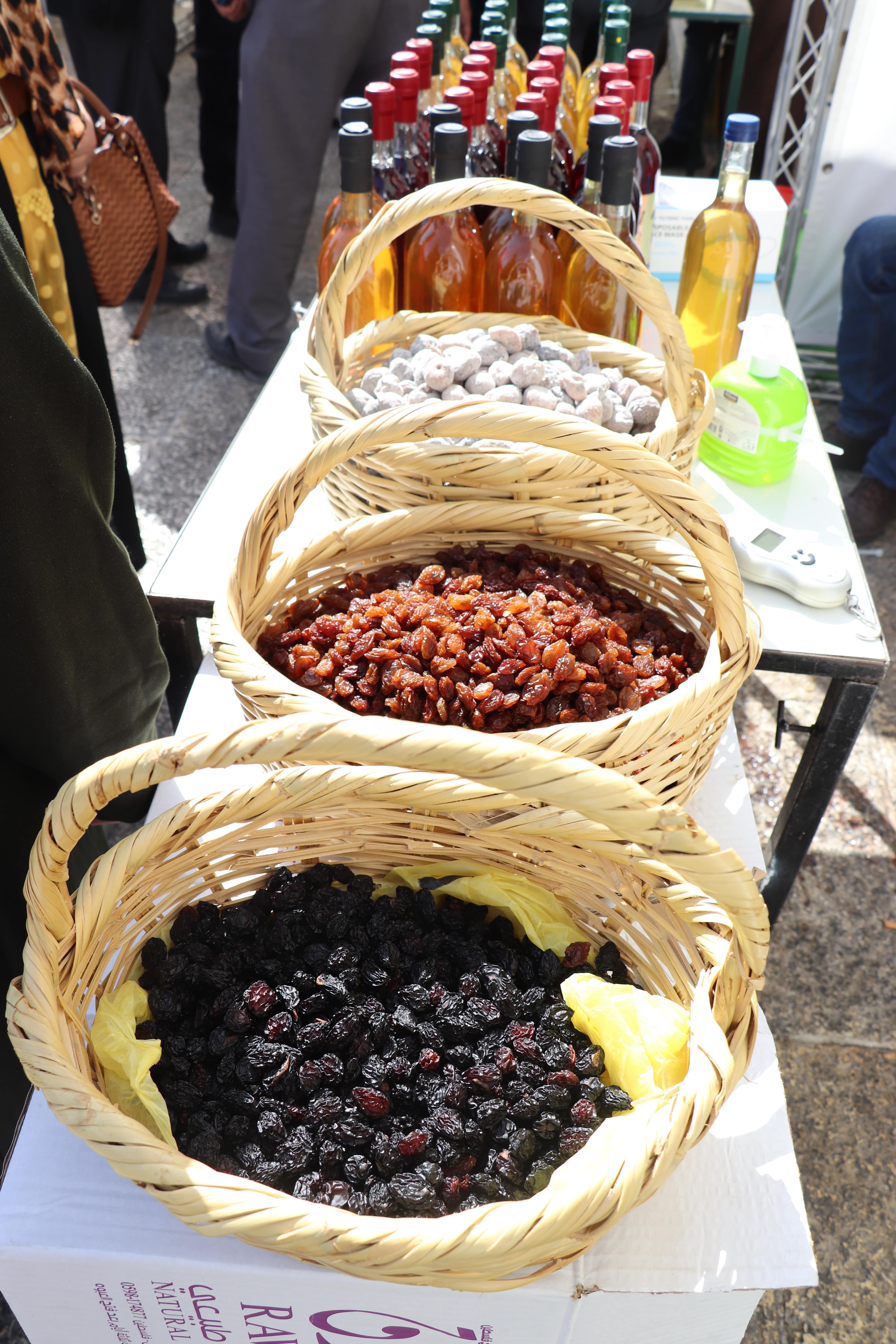 إختتام فعاليات مهرجان قطف الزيتون السنوي الحادي والعشرين