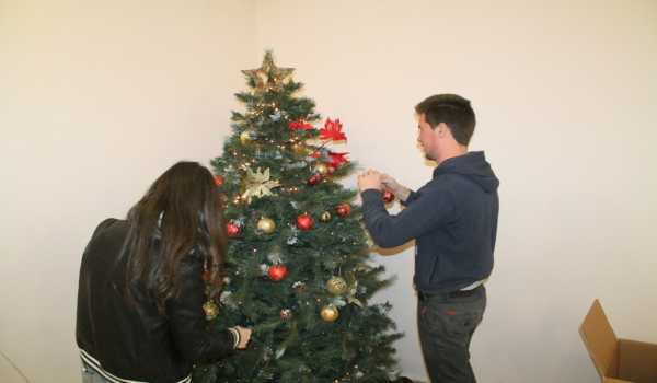 المجلس الشبابي يشارك في تزيين شجرة بلدية بيت لحم 