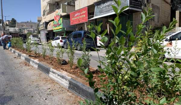 ضمن مشروع "بيت لحم مدينة خضراء" بلدية بيت لحم تنظّم نشاطًا بيئيًا لتنظيف وتخضير شارع المهد